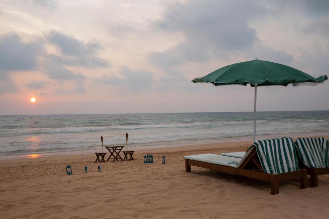 Palm Beach Inn & Sea Shells Cabanas Bentota Kültér fotó