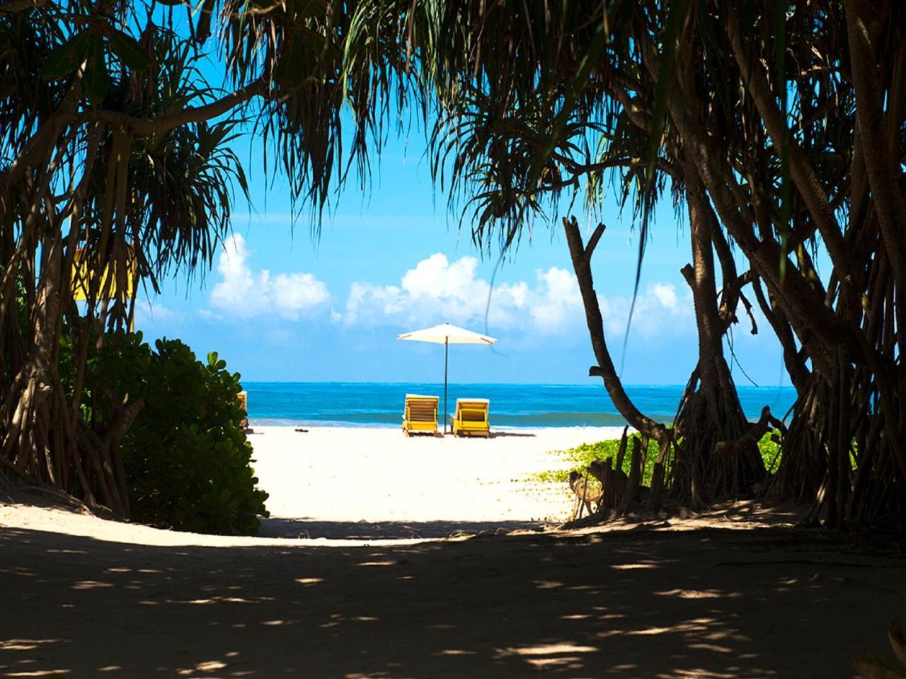 Palm Beach Inn & Sea Shells Cabanas Bentota Kültér fotó
