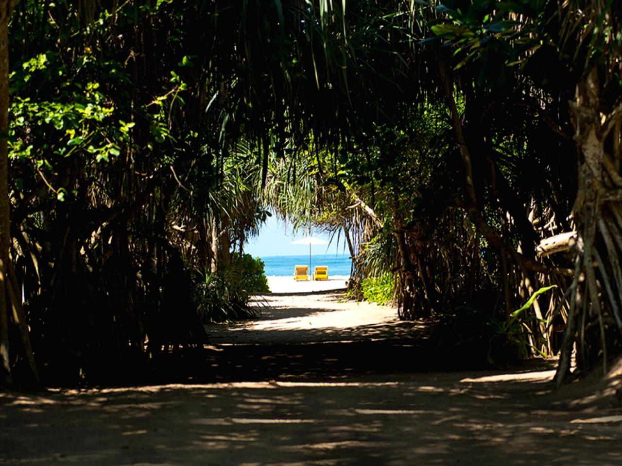 Palm Beach Inn & Sea Shells Cabanas Bentota Kültér fotó